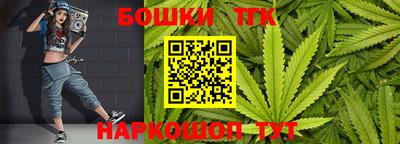 PSILOCYBIN Канаш