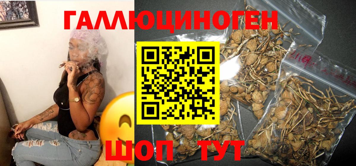 хочу   Вход с VPN  Псилоцибиновые грибы MAGIC MUSHROOMS  Крымск  Галлюциногенные грибы Magic Shrooms 